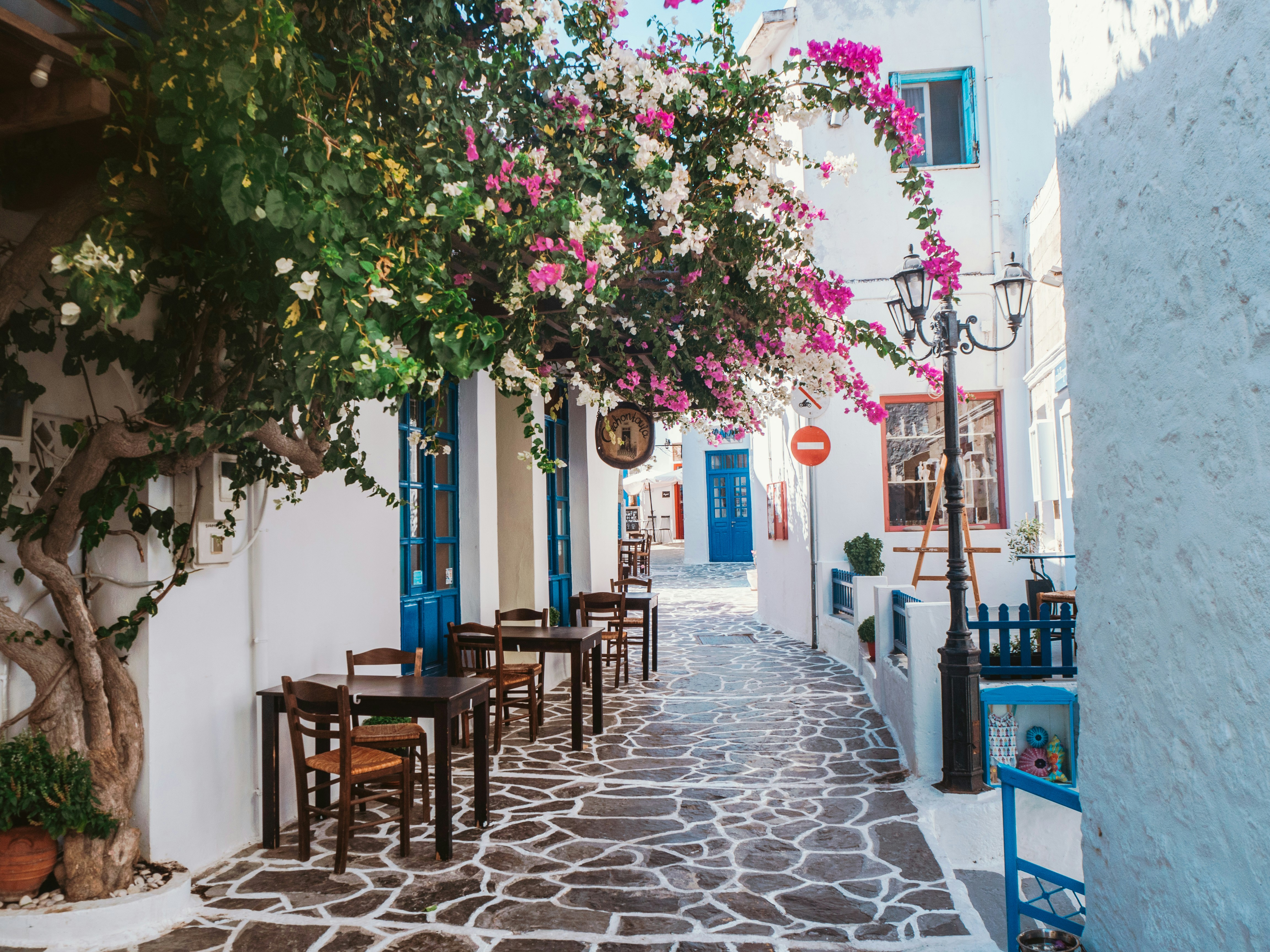 Pittoresk gate i en hvit gresk landsby med vakre blomster