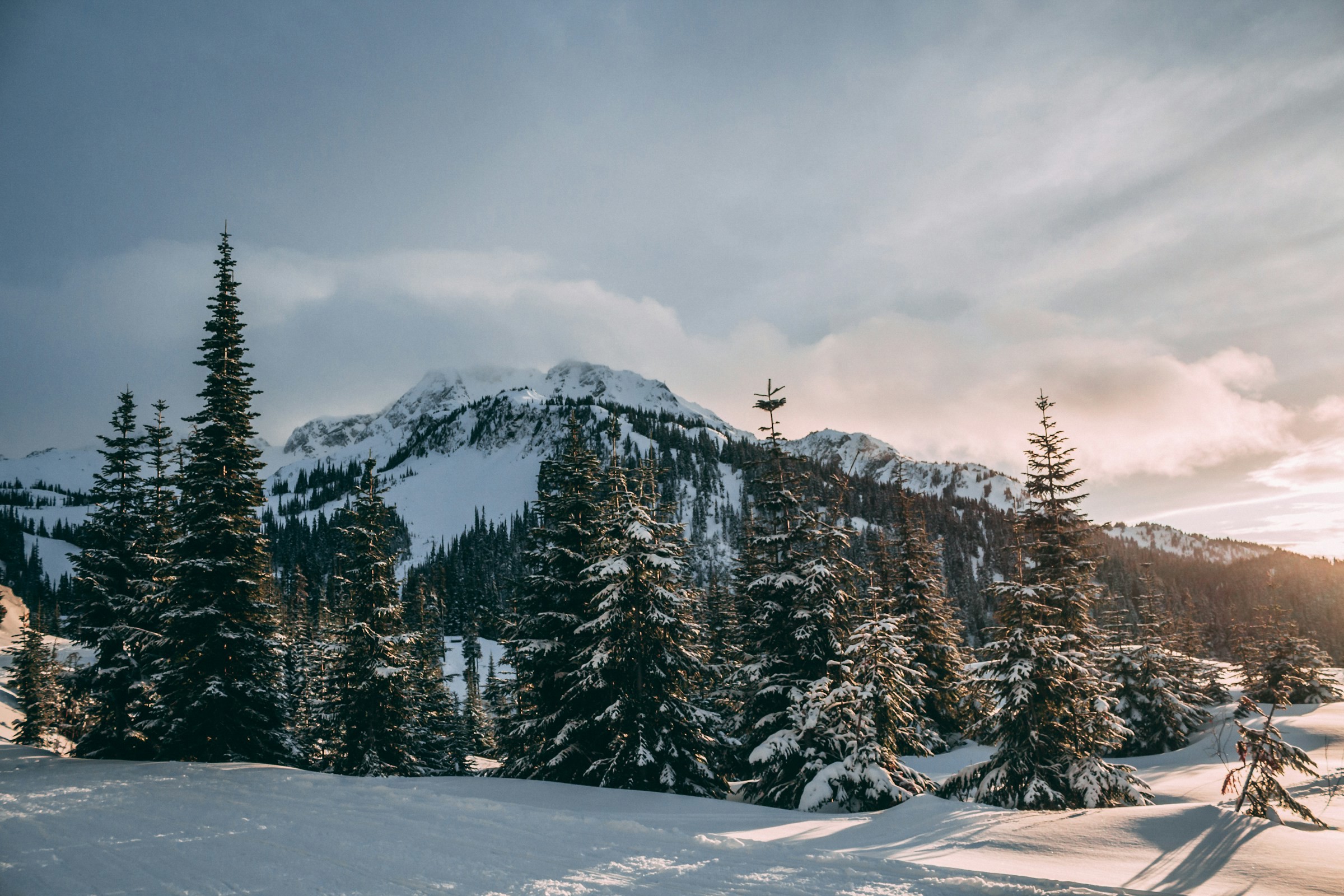 Winter landscape with snow-covered pine trees and mountains at sunset in Whistler, Canada.