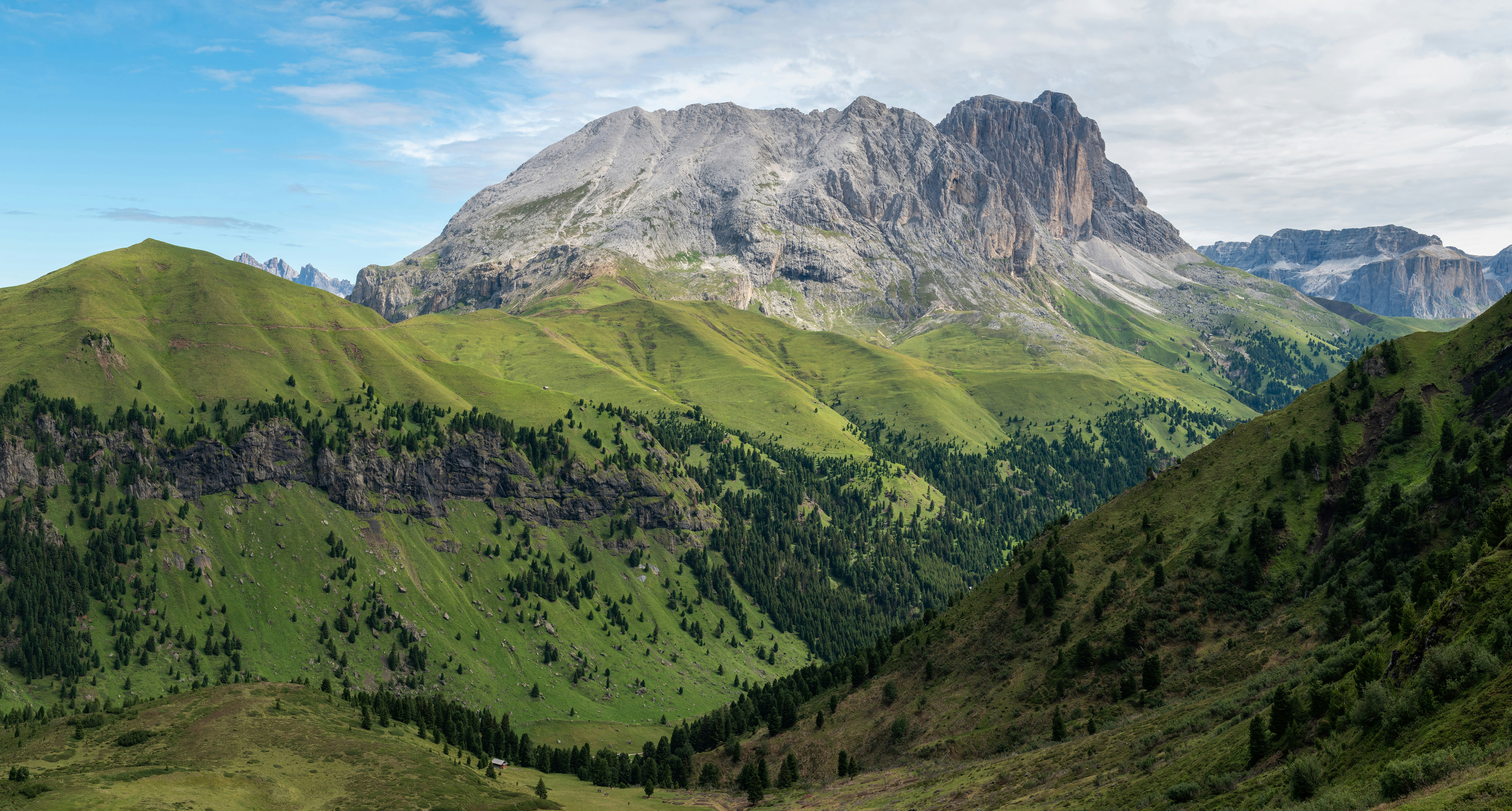Grøntområder og trær opp mot fjell i bakgrunnen i Alpene