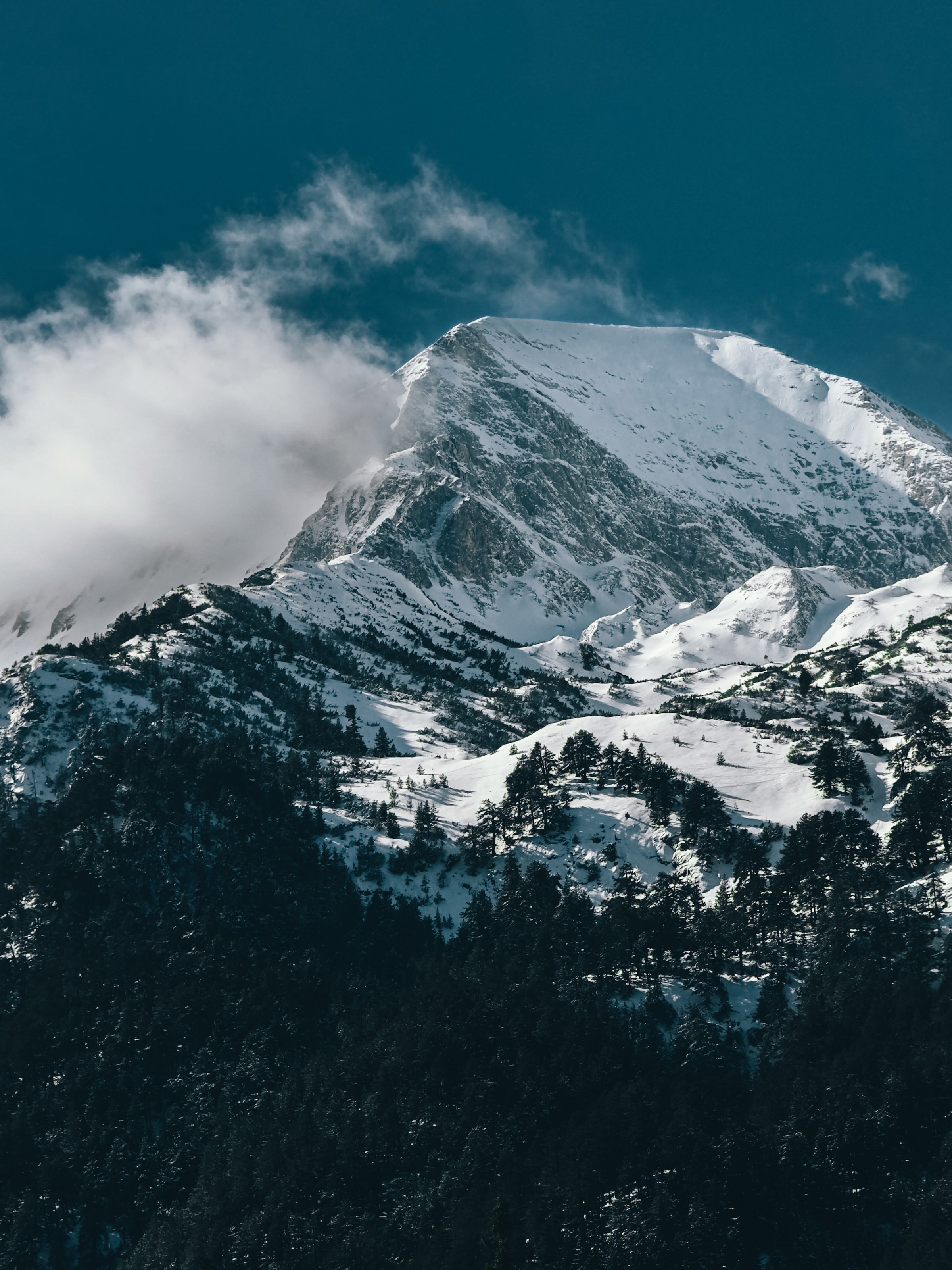 White-painted mountain peak against clear blue sky surrounded by clouds and dark green forested slopes in Bansko.