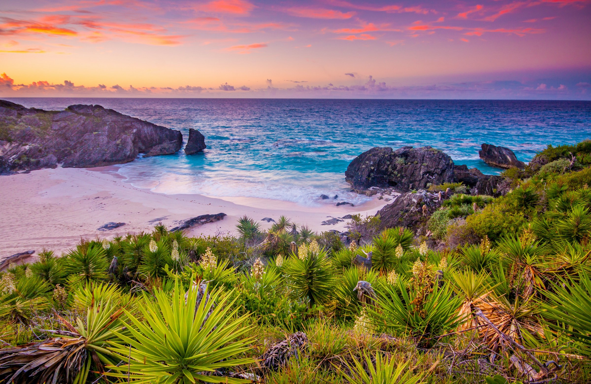 Vakre busker fører ned til en rolig strand med klipper og blått hav i en rosa solnedgang på Bermuda