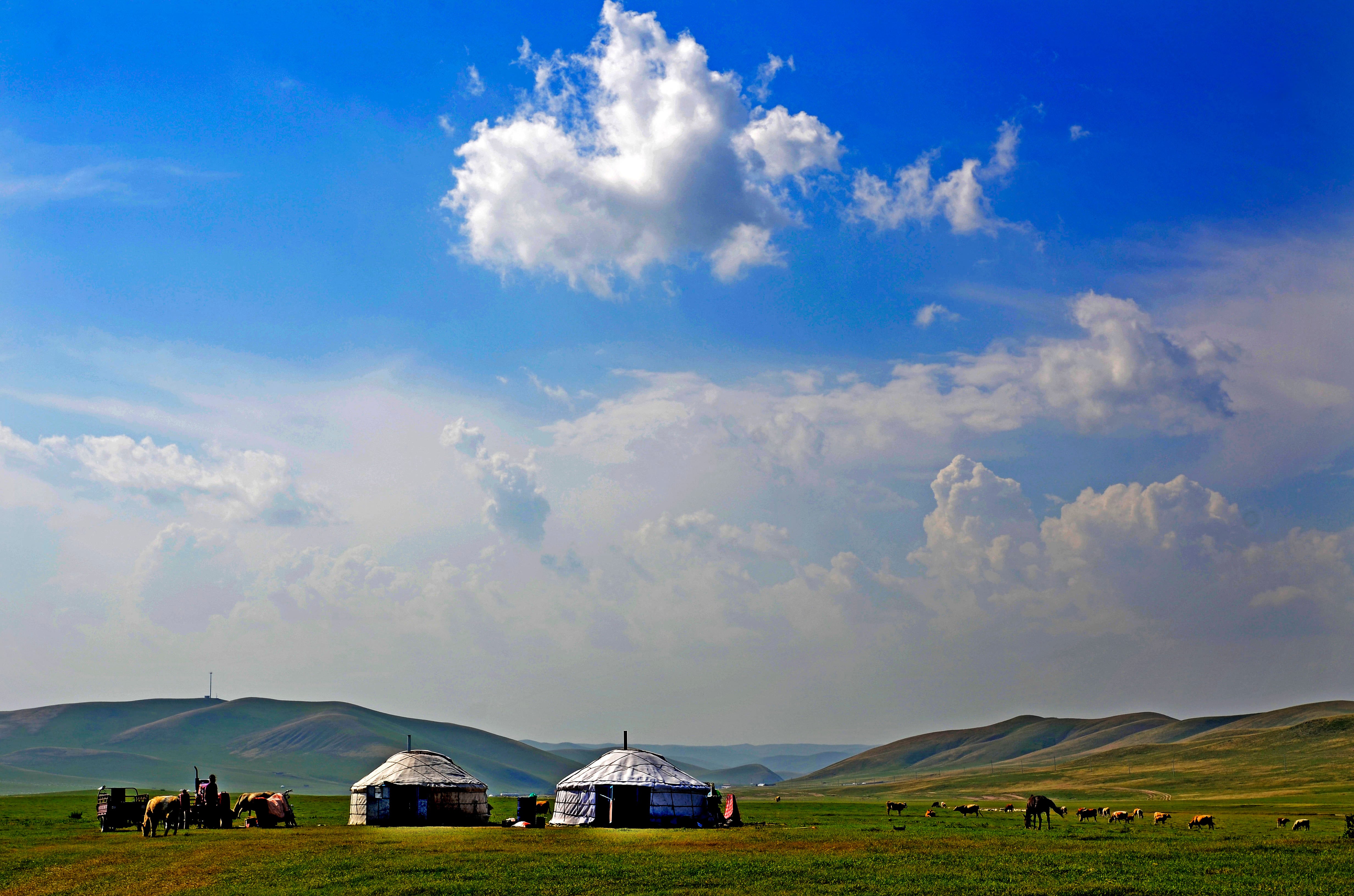 Reis til Mongolia - Panoramautsikt over grønn slette med hytter og fjell og blå himmel i bakgrunnen