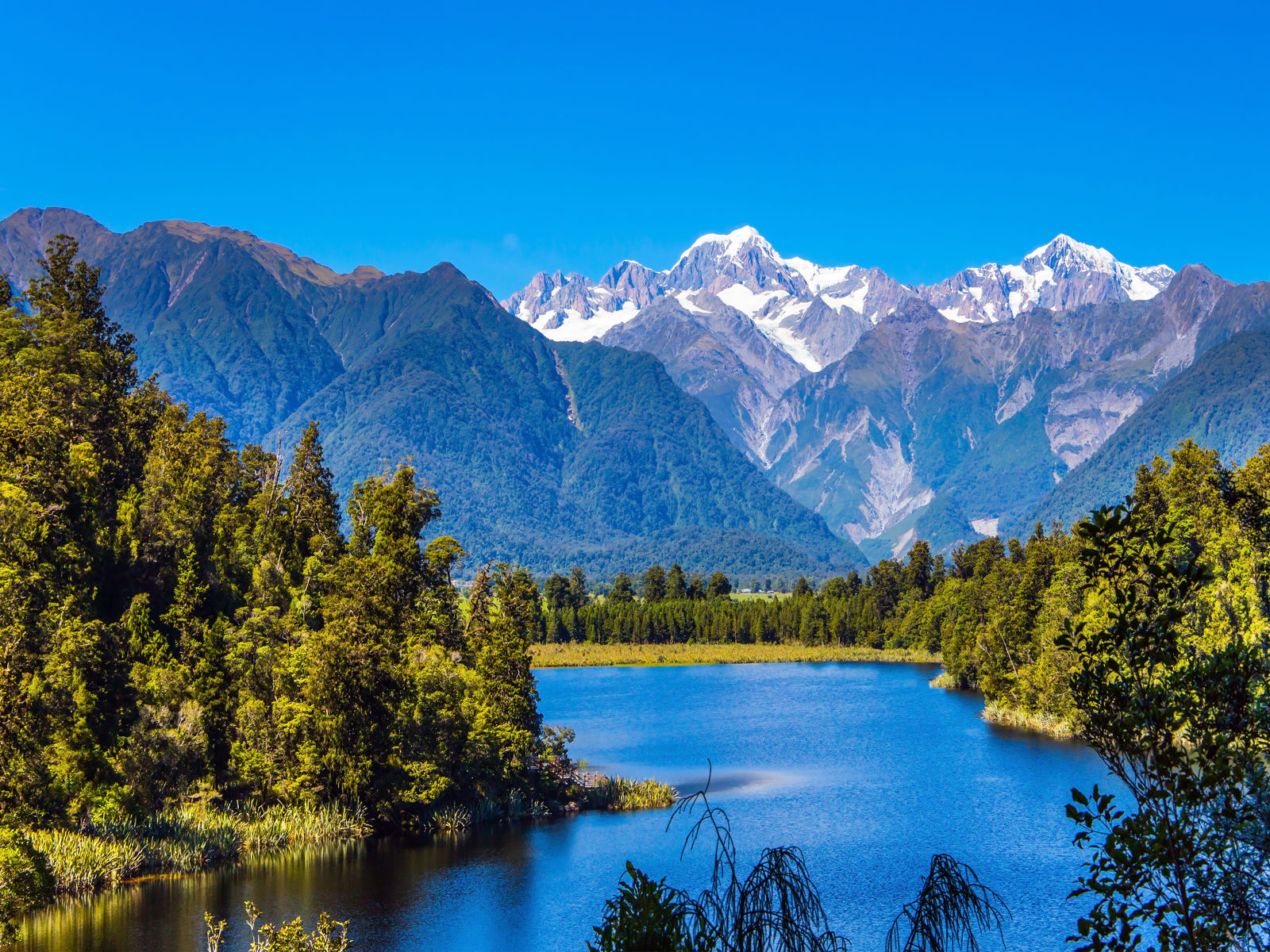 Elv gjennom skog i New Zealand med hvite fjelltopper i bakgrunnen
