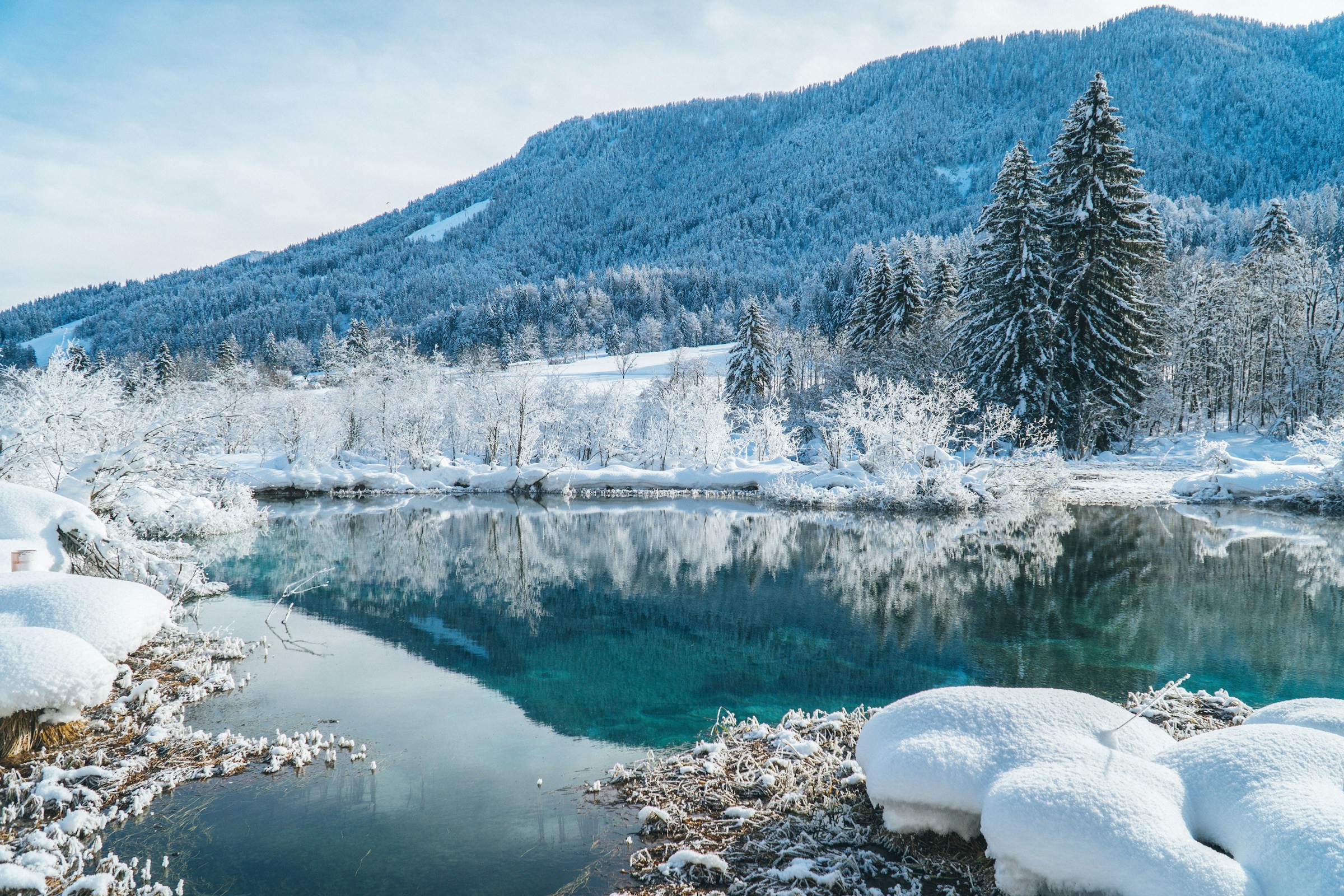 Peaceful lake by winter-covered forest and nature with mighty mountains in the background in Kranjska Gora