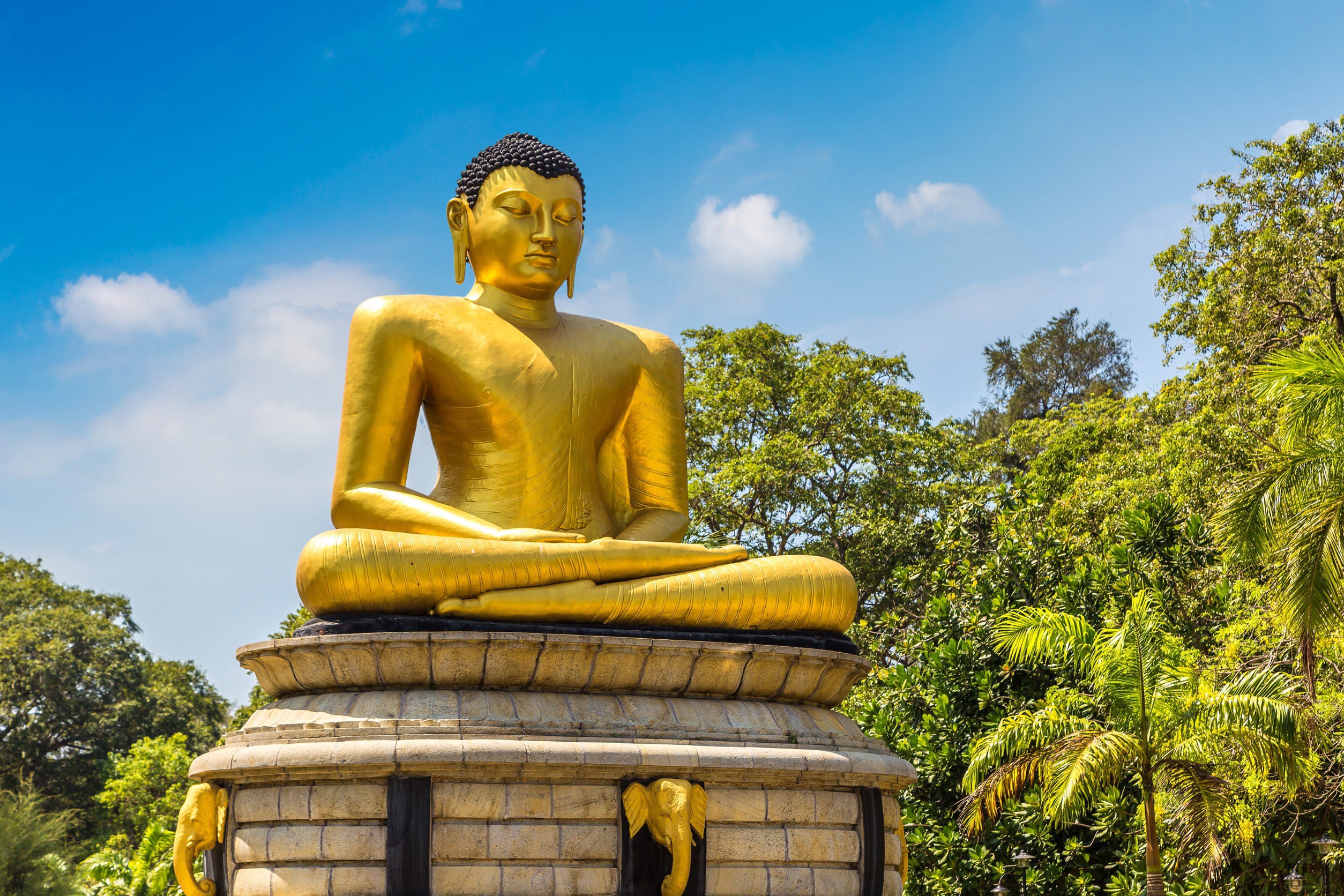 Gylden buddhistisk statue med palmer rundt i Colombo, Sri Lanka