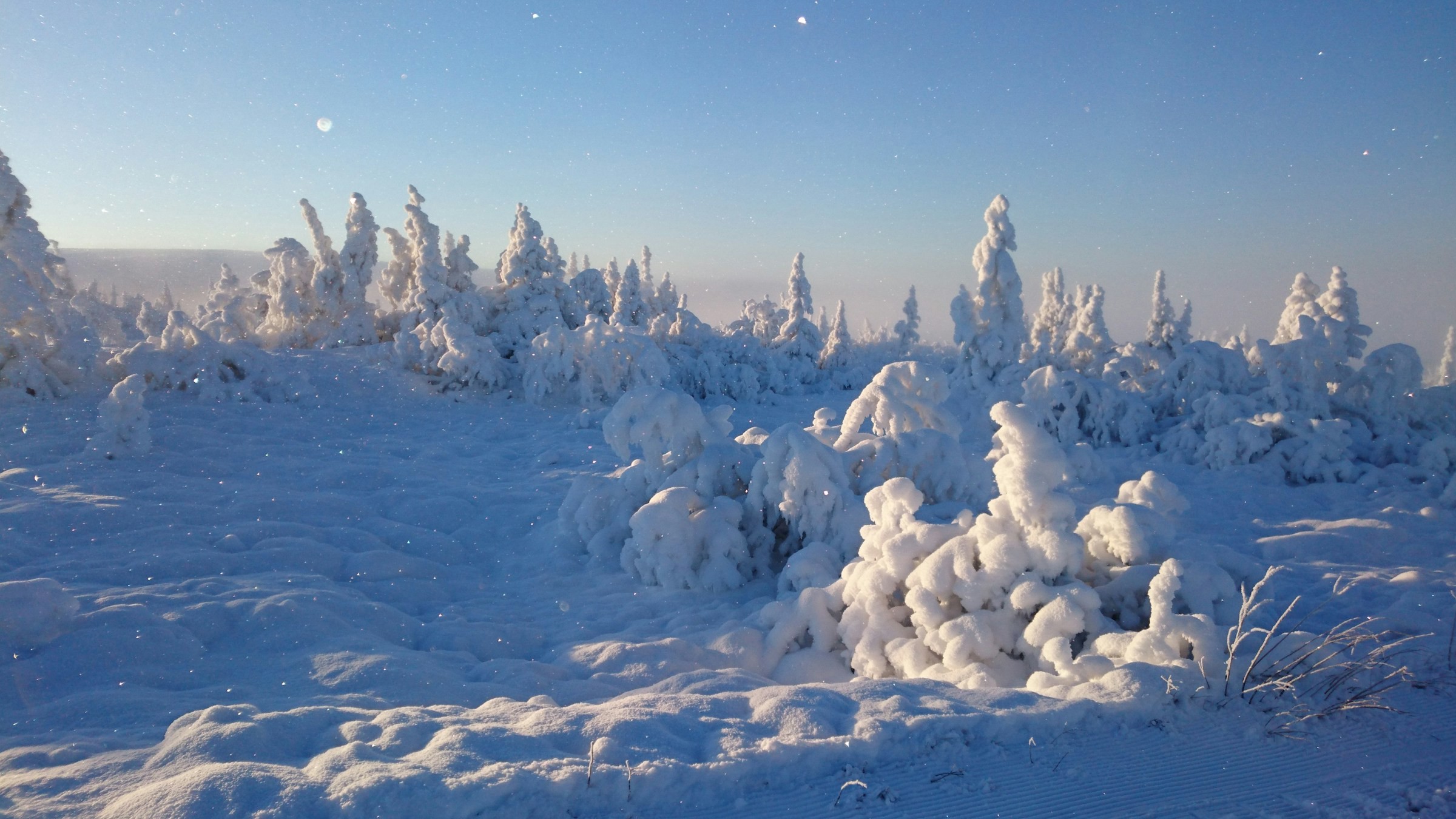 Heavy snow-covered nature and trees in Sälen during an early sunrise