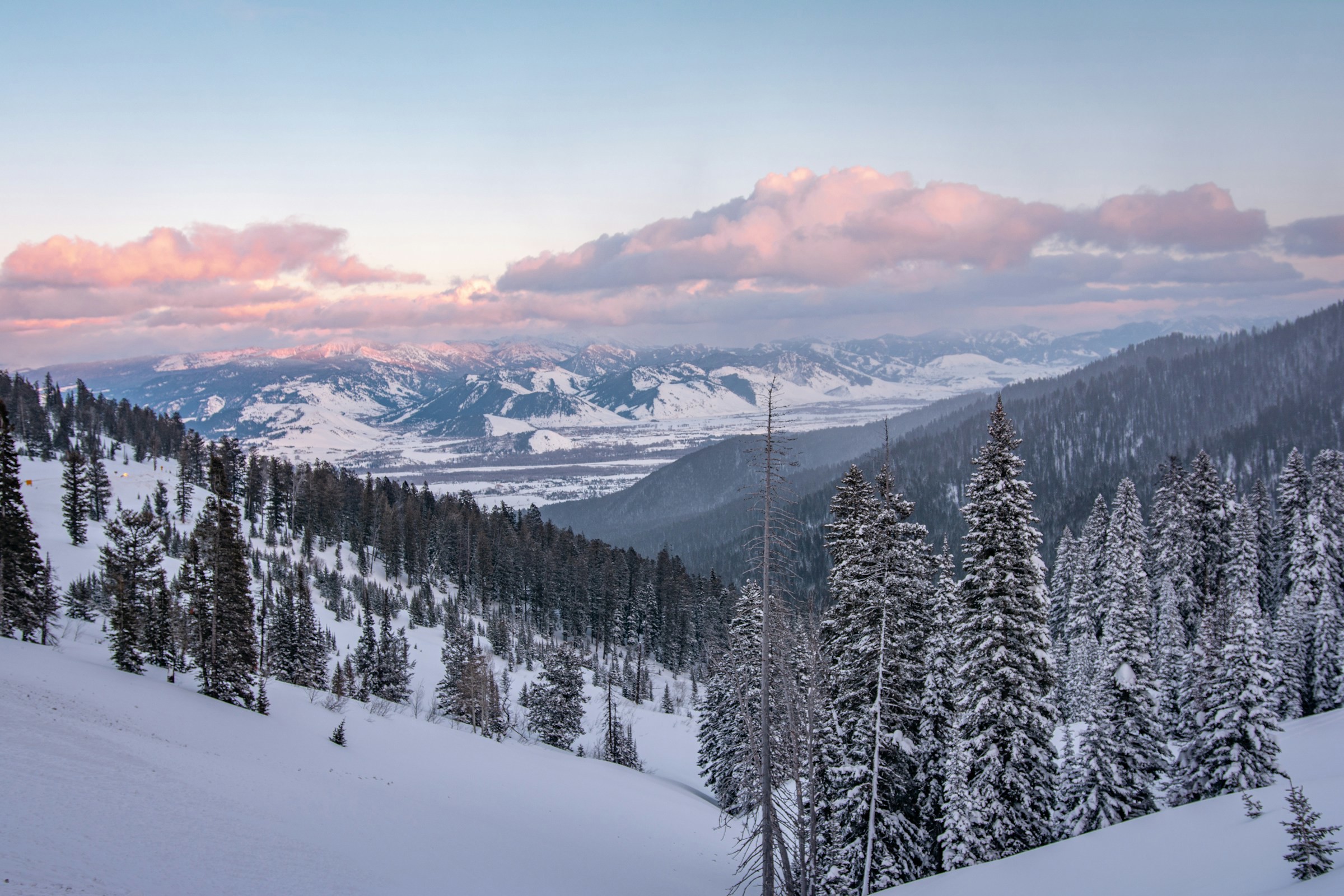 Winter landscape in Jackson Hole with snow-covered fir trees at dusk, overlooking a mountain pass and pink clouds in the sky.